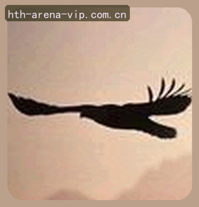 吴凯